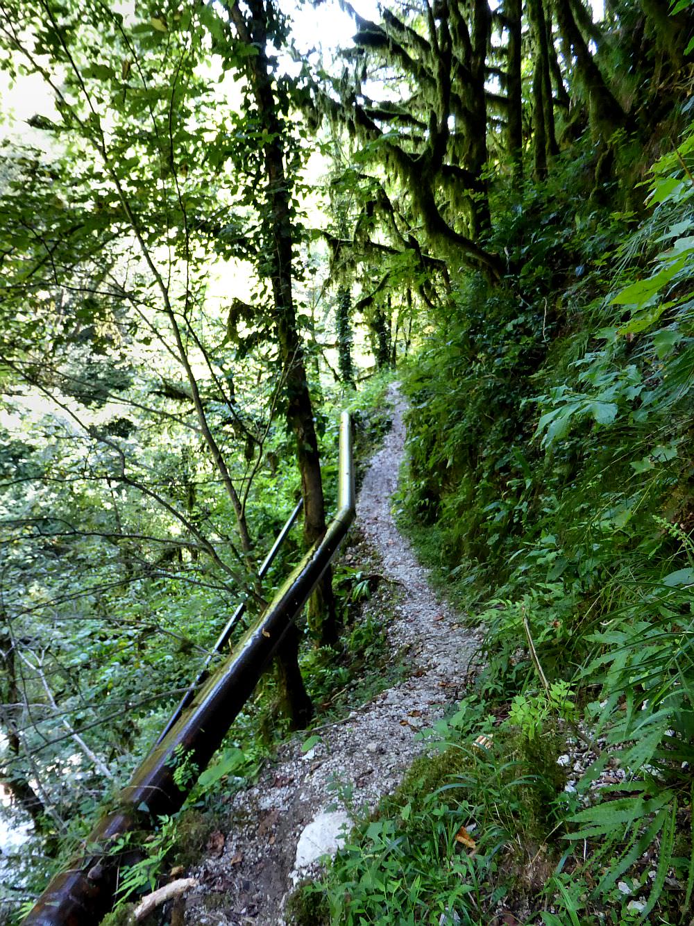 Trail heading deeper into the valley