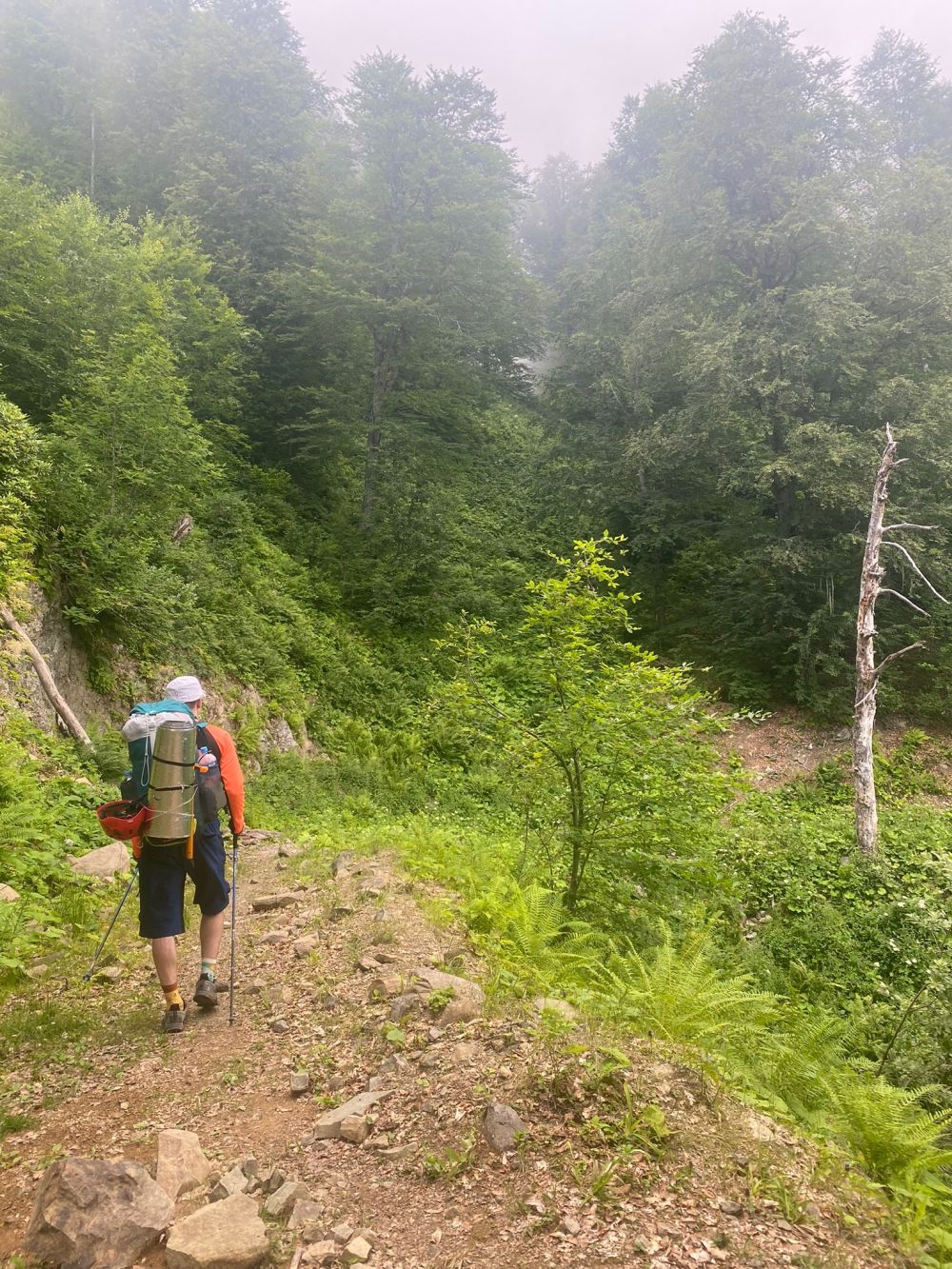 Upper part of the road