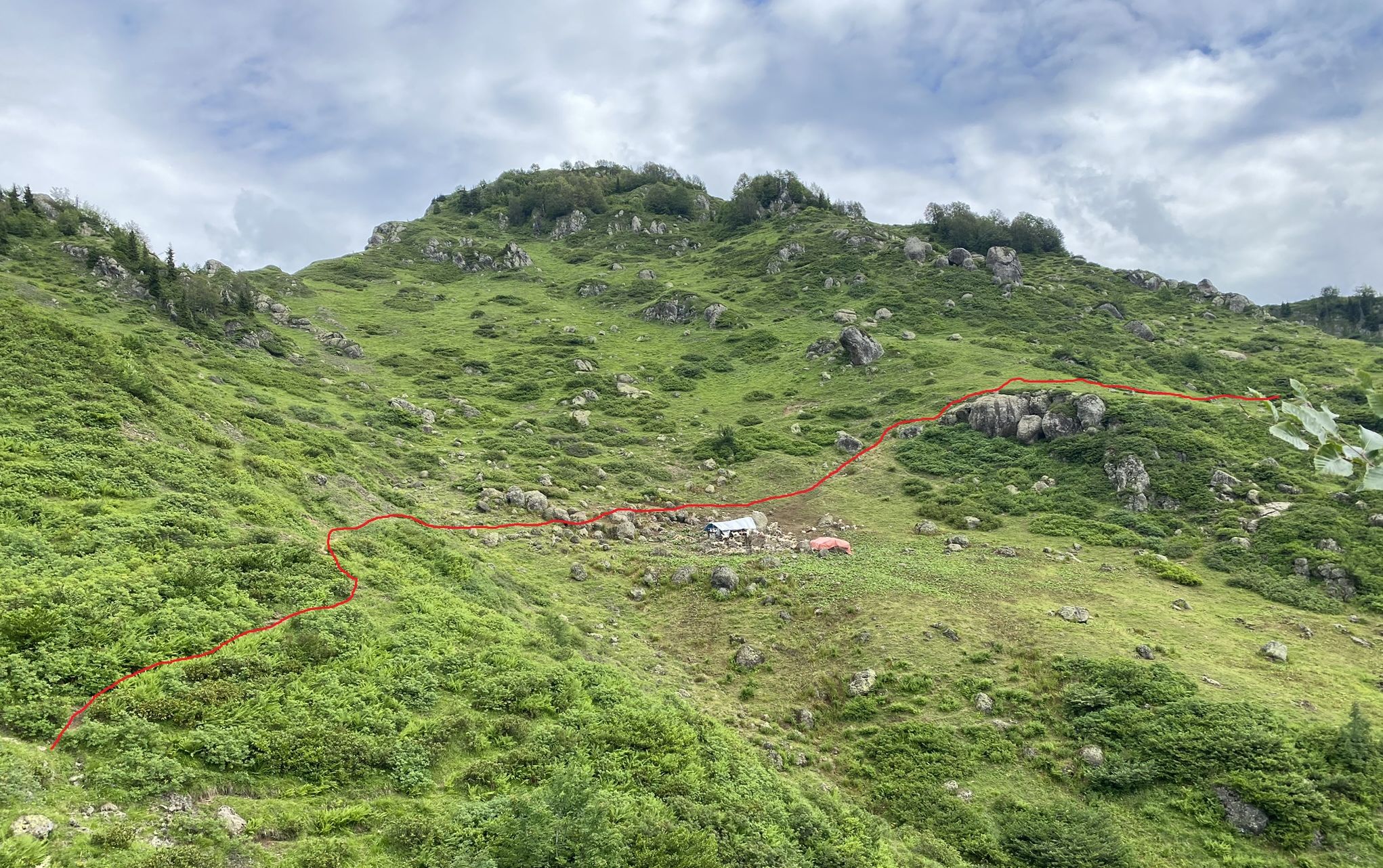 Mountain farms