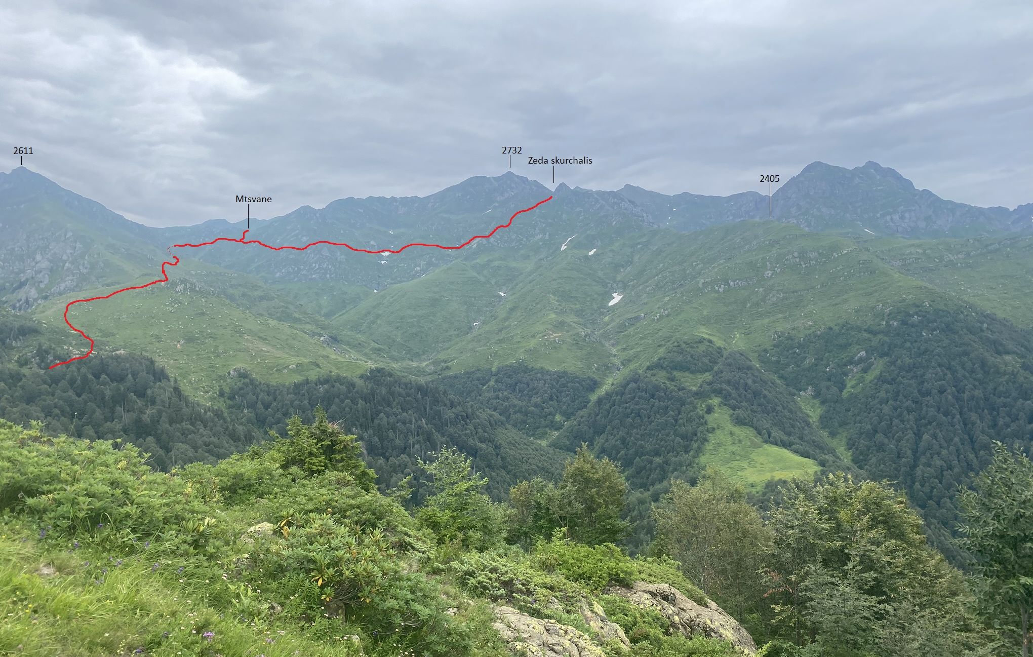 View of the upcoming trail