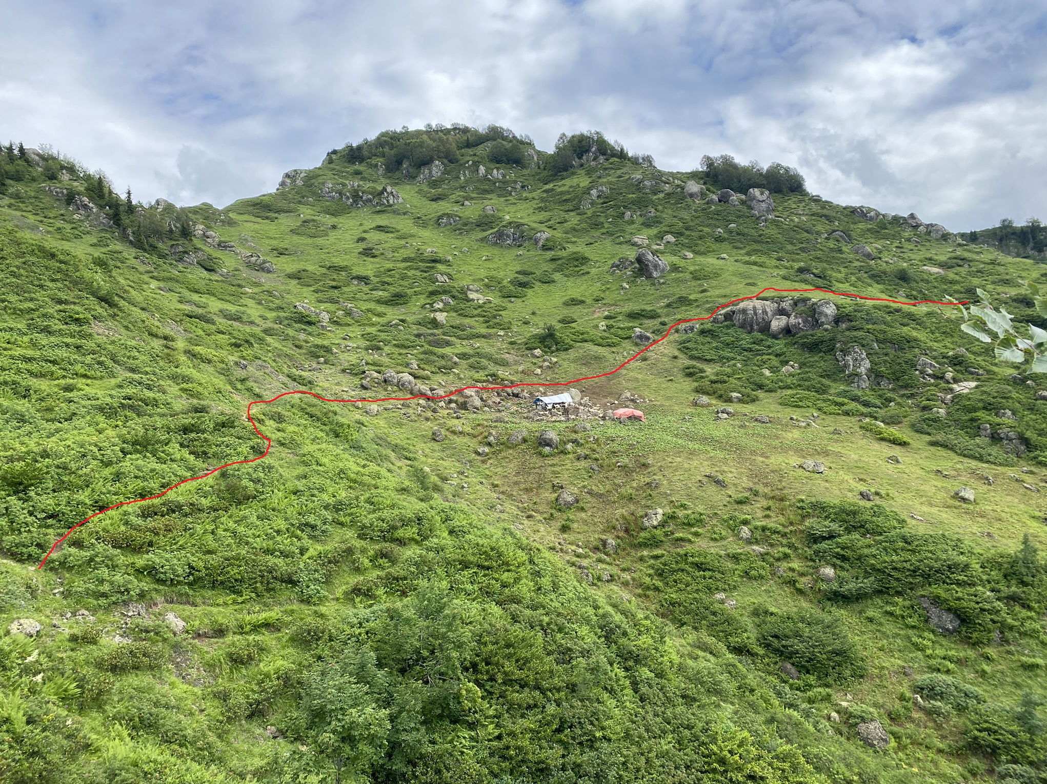 Mountain farms