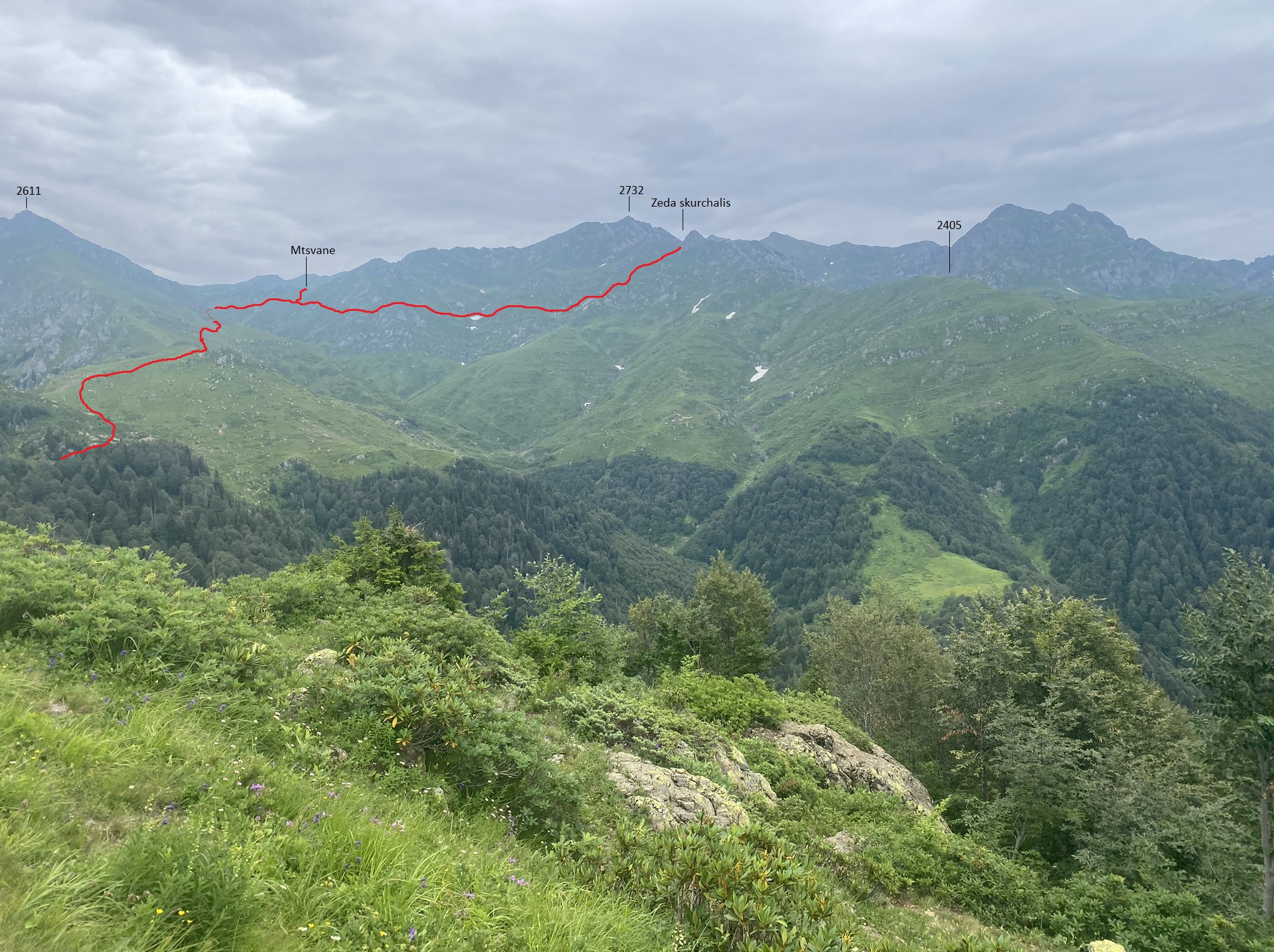 View of the upcoming trail
