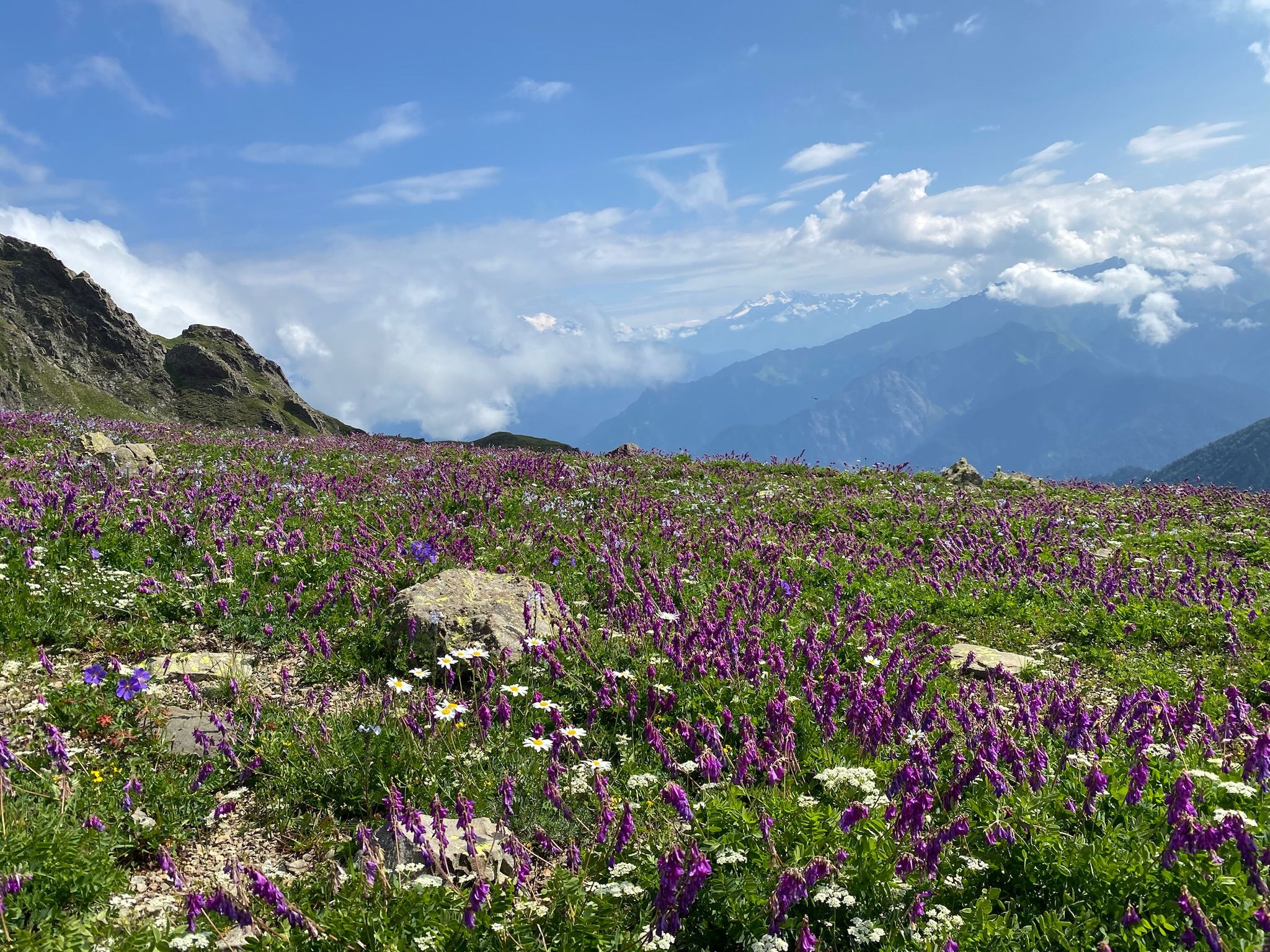 Siqvaruli pass