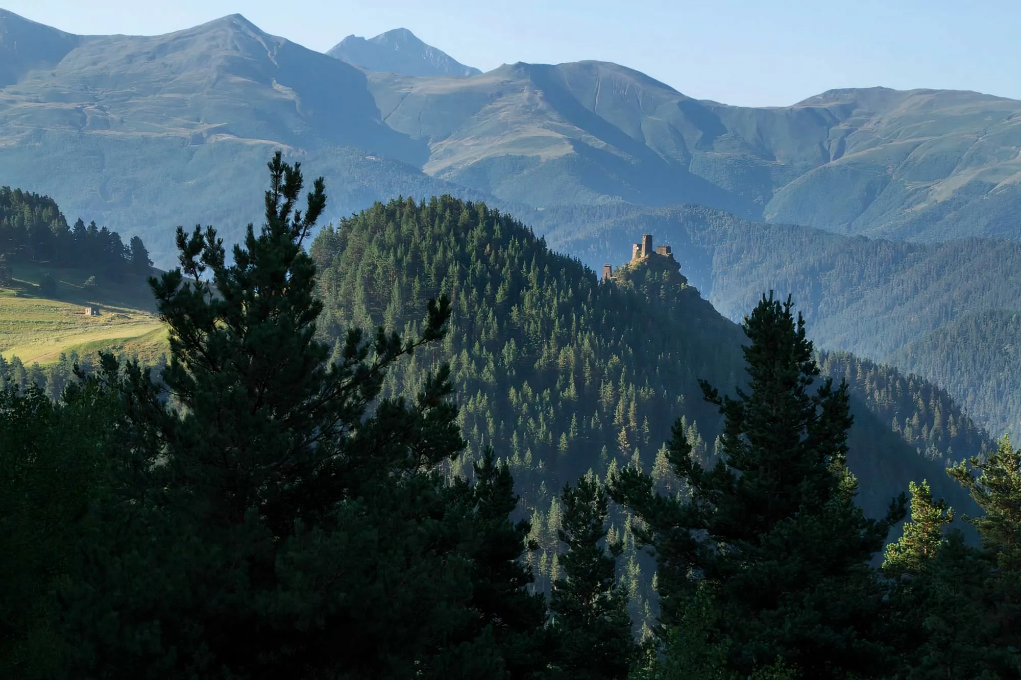 Looking back at Omalo