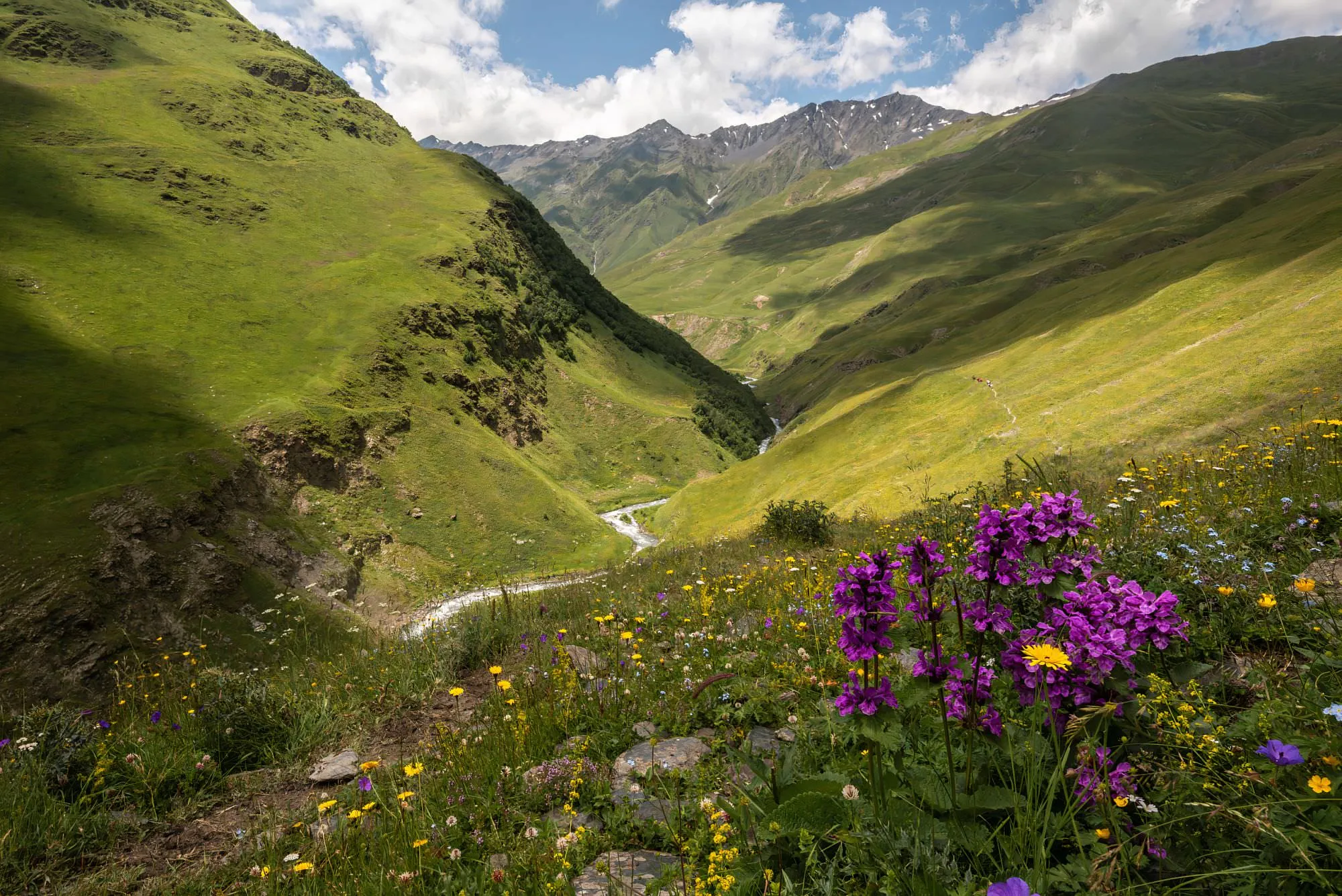 Walking up the valley
