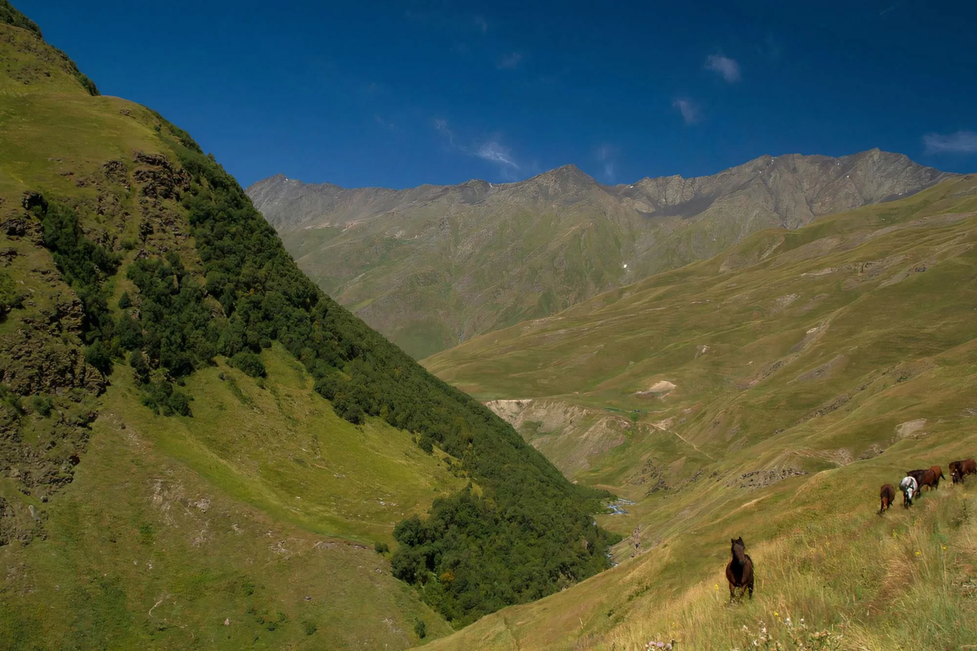 Walking up the valley
